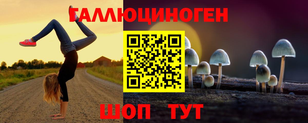 Галлюциногенные грибы Psilocybine cubensis Сокол