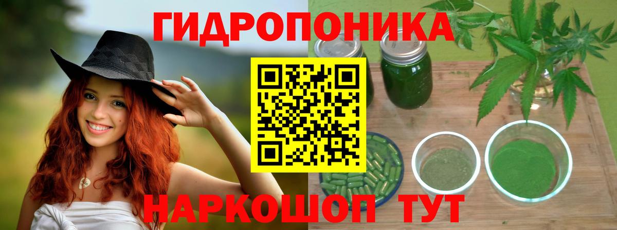 Сокол  МАРИХУАНА Ganja  МАРИХУАНА планчик  Марихуана Ganja  Вход с VPN  Бошки Шишки Amnesia 